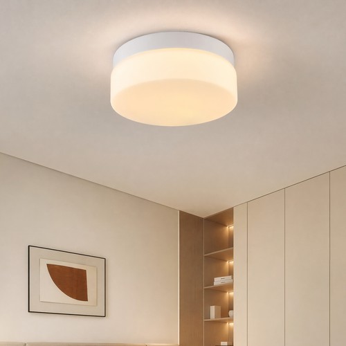 Modern 24w led - 12'', ceiling