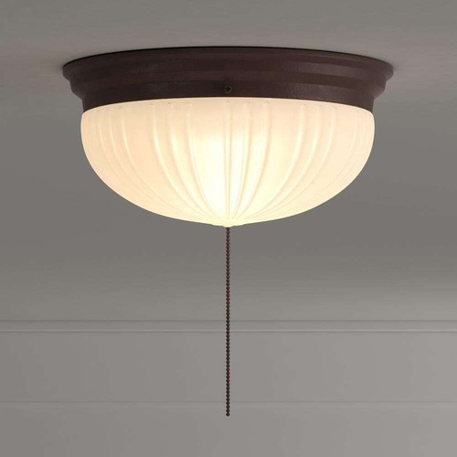 Westinghouse light ceiling - light,