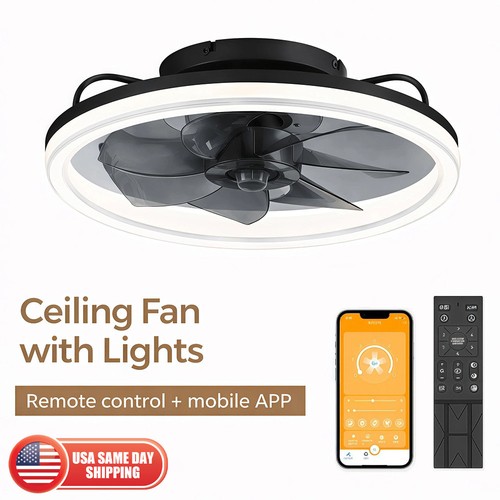 Modern fan lights - 20", flush