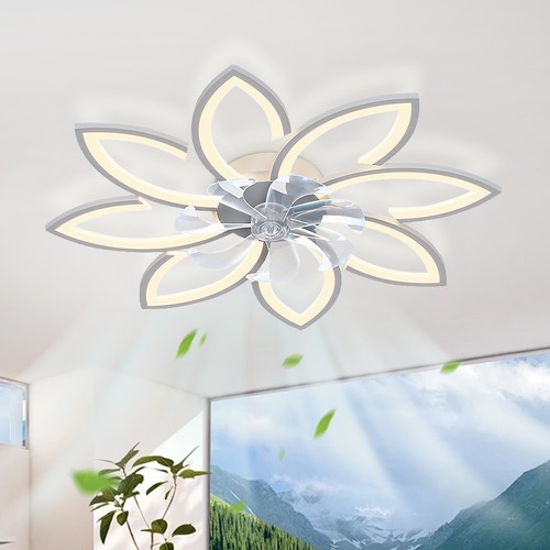 Low profile ceiling - low, fan